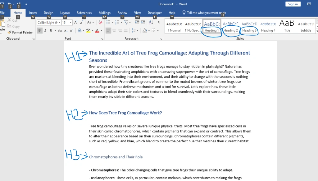 How to Generate and Customize a Table of Contents in MS Word