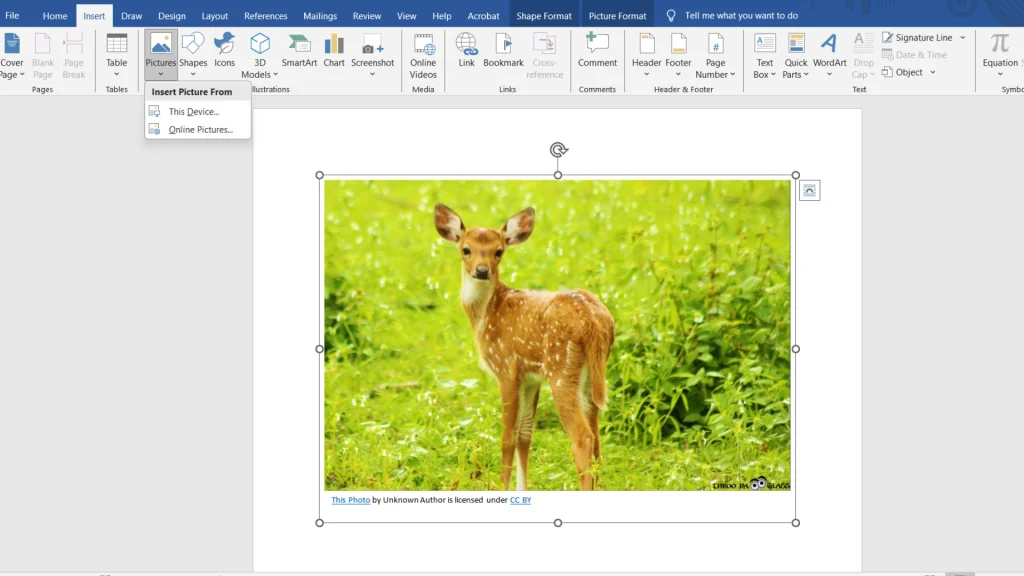 Editing Images within Word for Better Documents