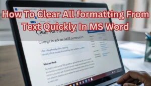 Read more about the article How To Clear All formatting From Text Quickly In MS Word